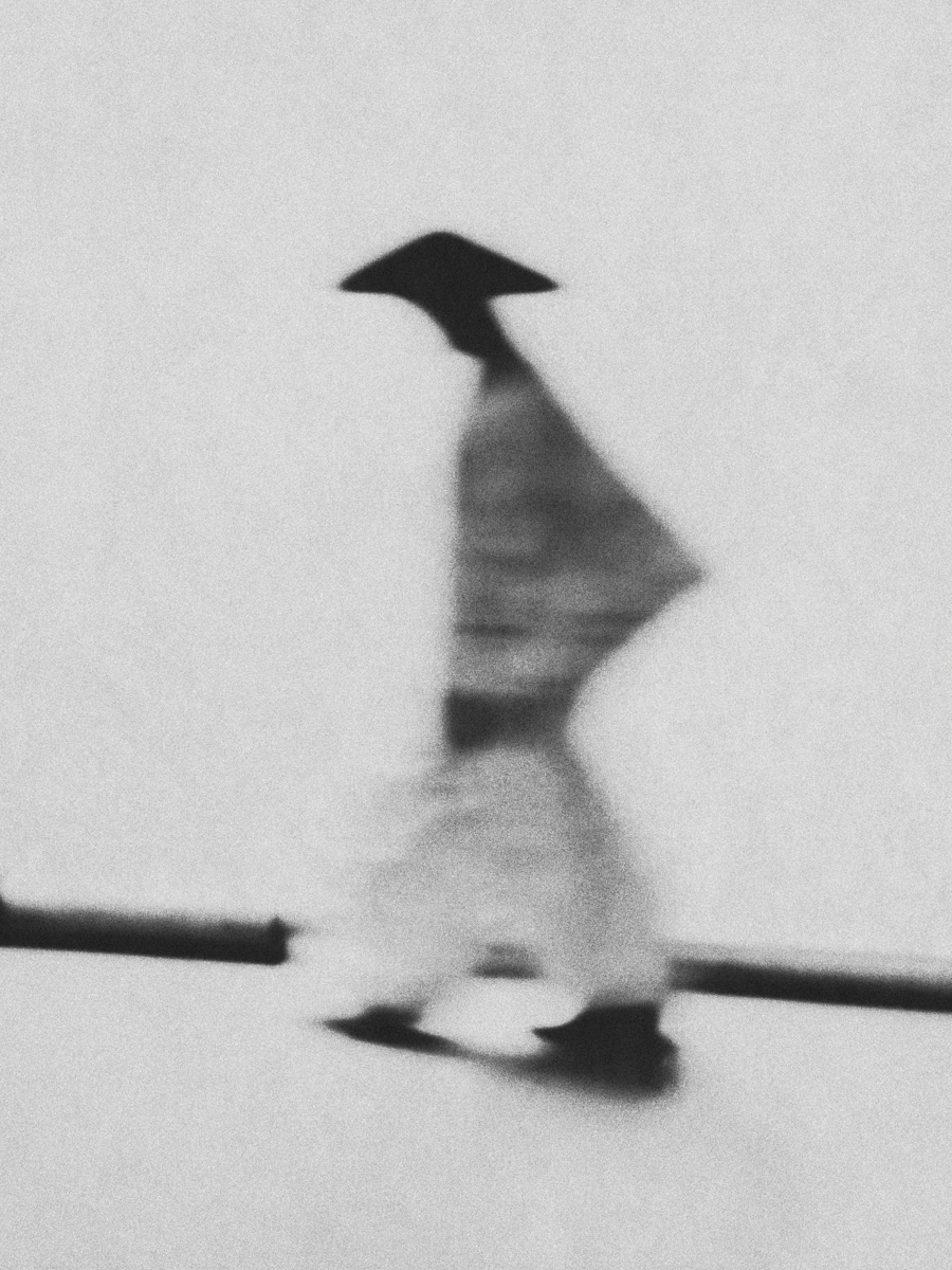 Henro, 2026 — by Bastiaan Woudt