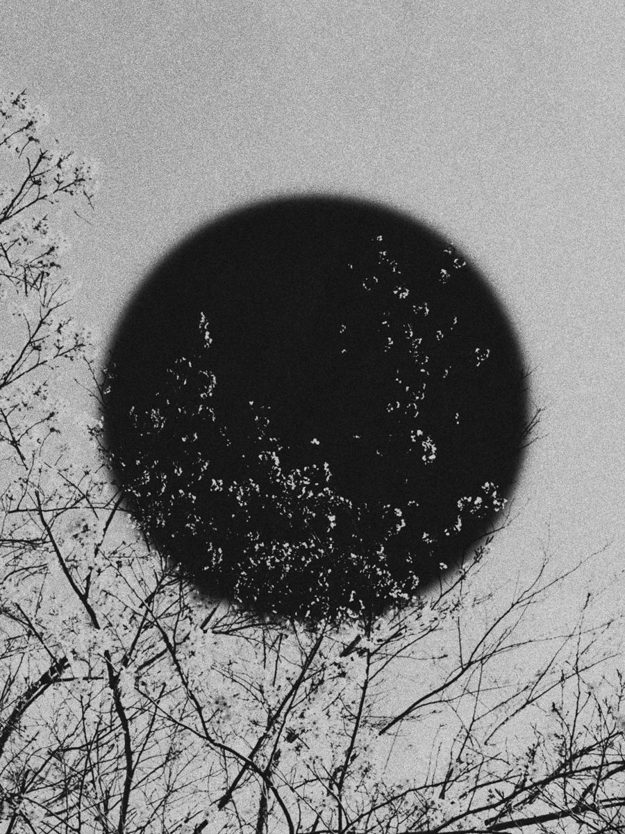 En, 2026 — by Bastiaan Woudt